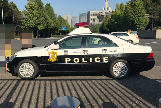 278.jpg