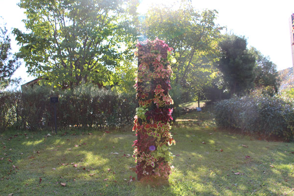 awa029.jpg